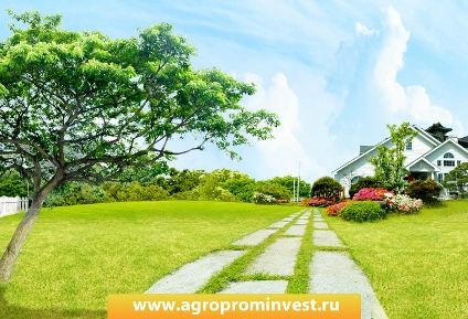 Дизайн листовок для